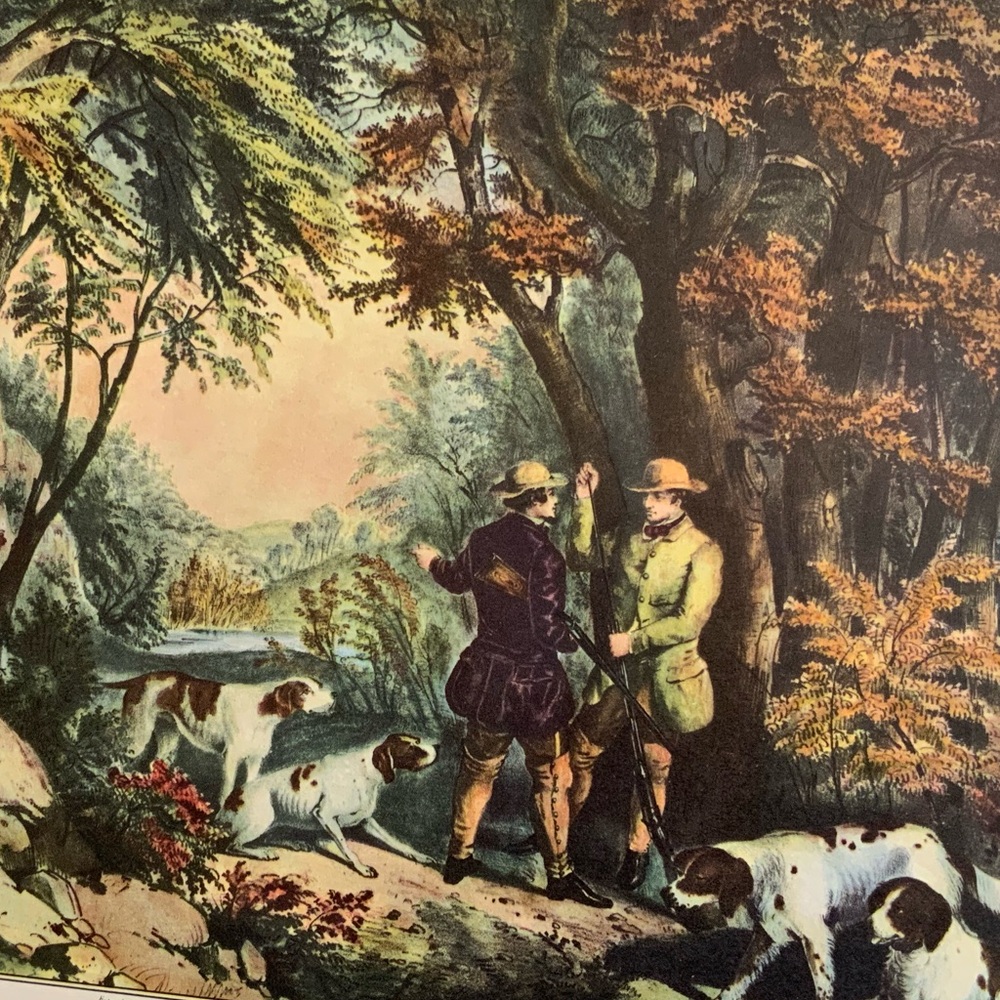 Morning in the Woods